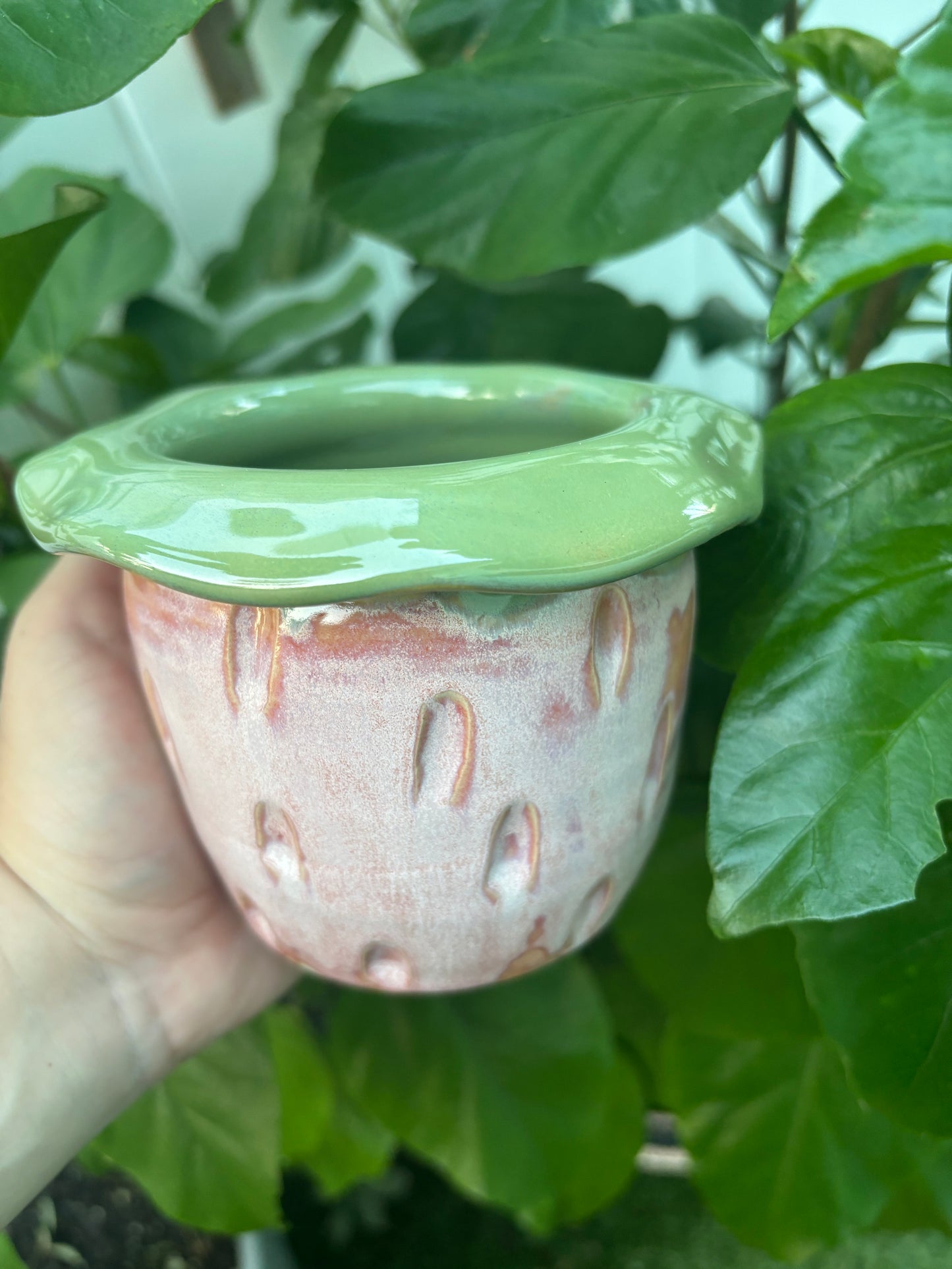 Strawberry Pot