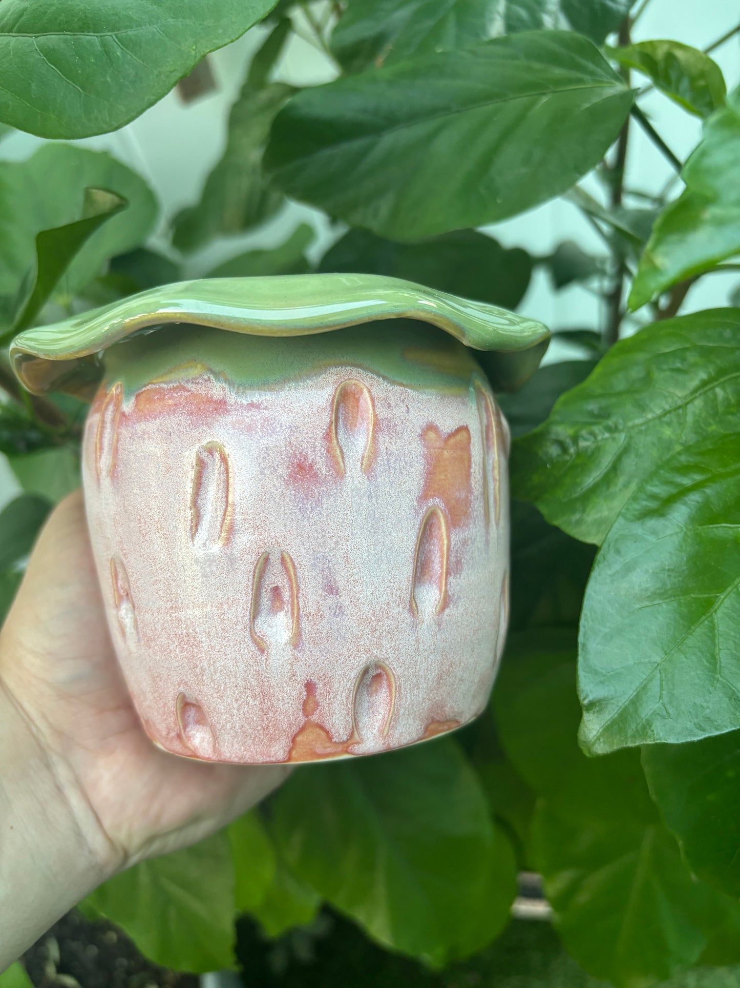 Strawberry Pot